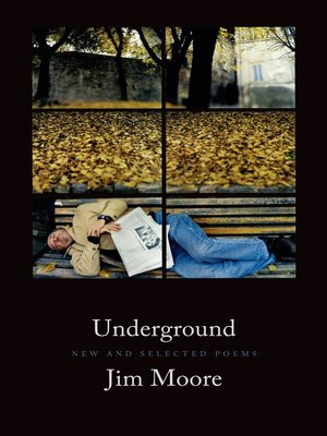cover image of Underground